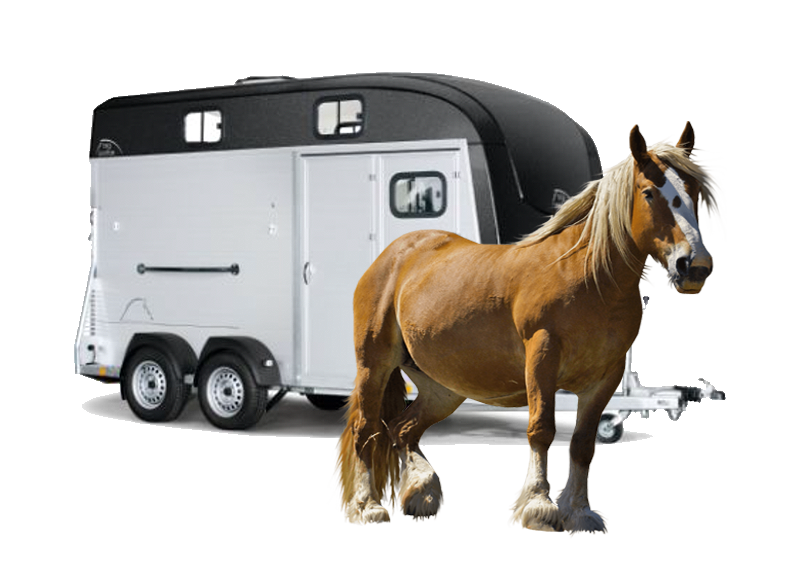 Hästtransporter