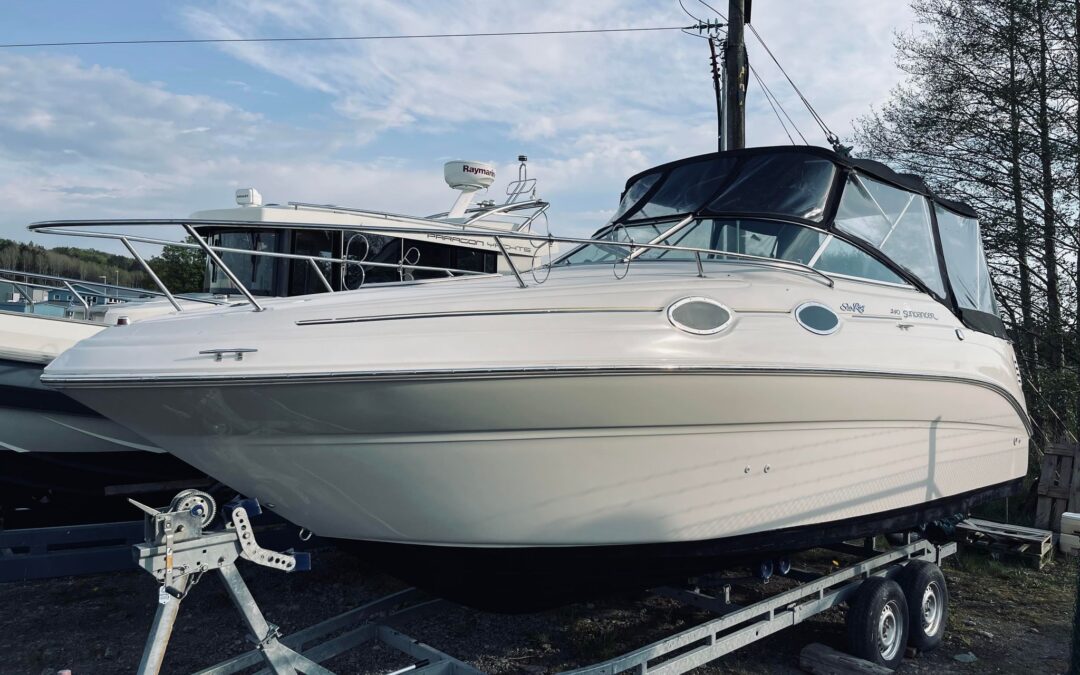 Sea Ray Sundancer 240 -00 Mercruiser 5.0